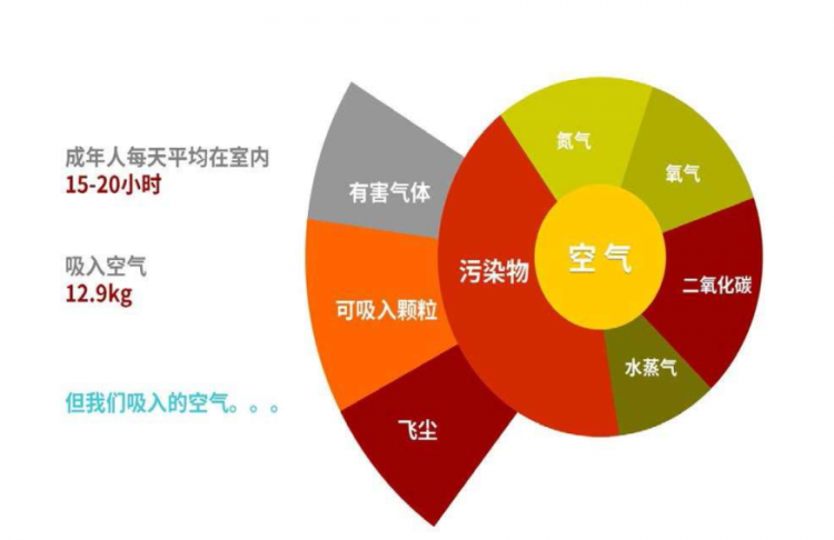 室内空气对人体健康的重要性